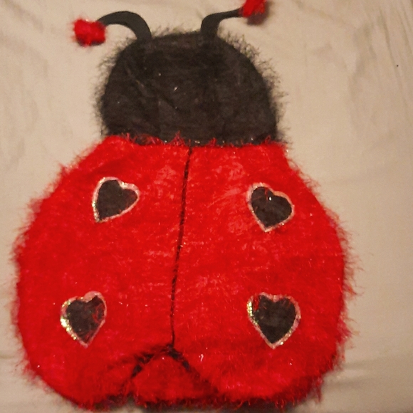 Other - Love bug costume